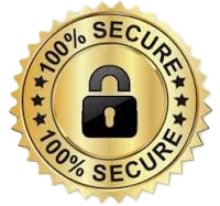 100% secure badge